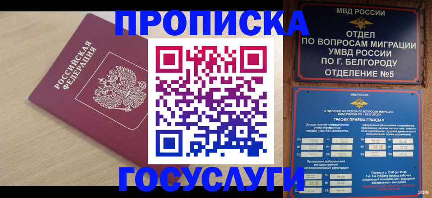 прописка законно в Псковской области